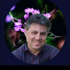 رضا رحیمی
